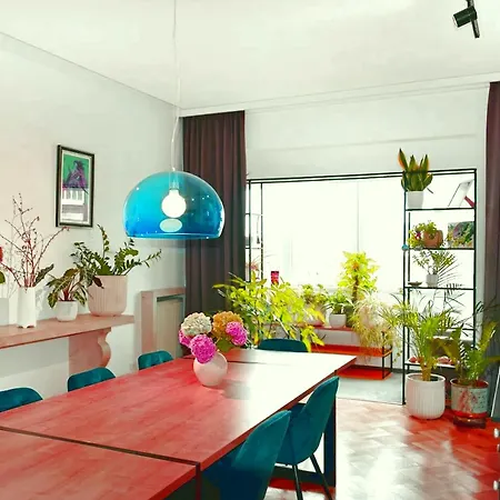 Langa Tomis Mall Constanţa